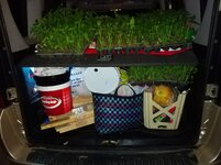 IMG_20190518_225320.jpg