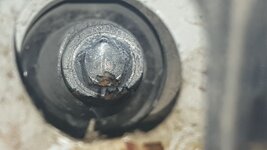 20190524_080101.jpg