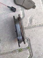 AF9CFAF4-DD0F-46DE-AED5-E74AB1271347.jpeg AF9CFAF4-DD0F-46DE-AED5-E74AB1271347.jpeg