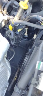 IMG_20210716_162249.jpg