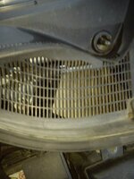 DSC_1959.jpg