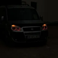 Mstf-dgn38