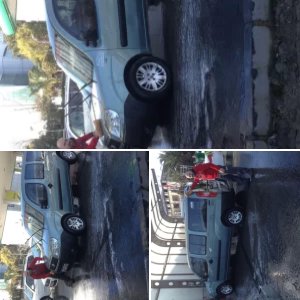 yeşil ceylan bıcı bıcı yapıyor