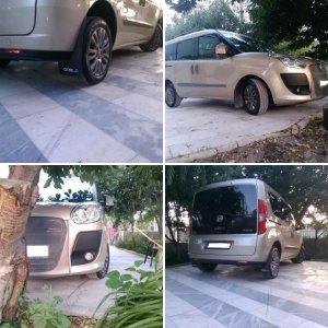 Profil Fotoğrafları