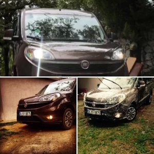 Profil Fotoğrafları