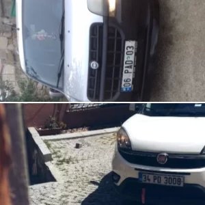 Profil Fotoğrafları