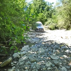DSC_2118.JPG