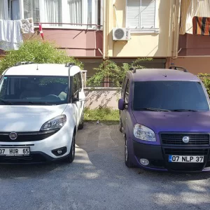 İki evlat bir arada