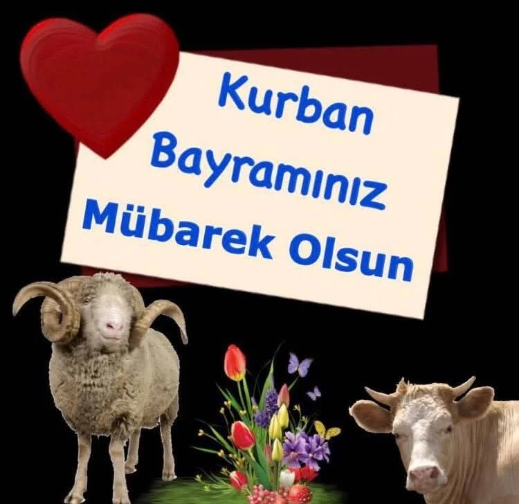 1000550377.webp