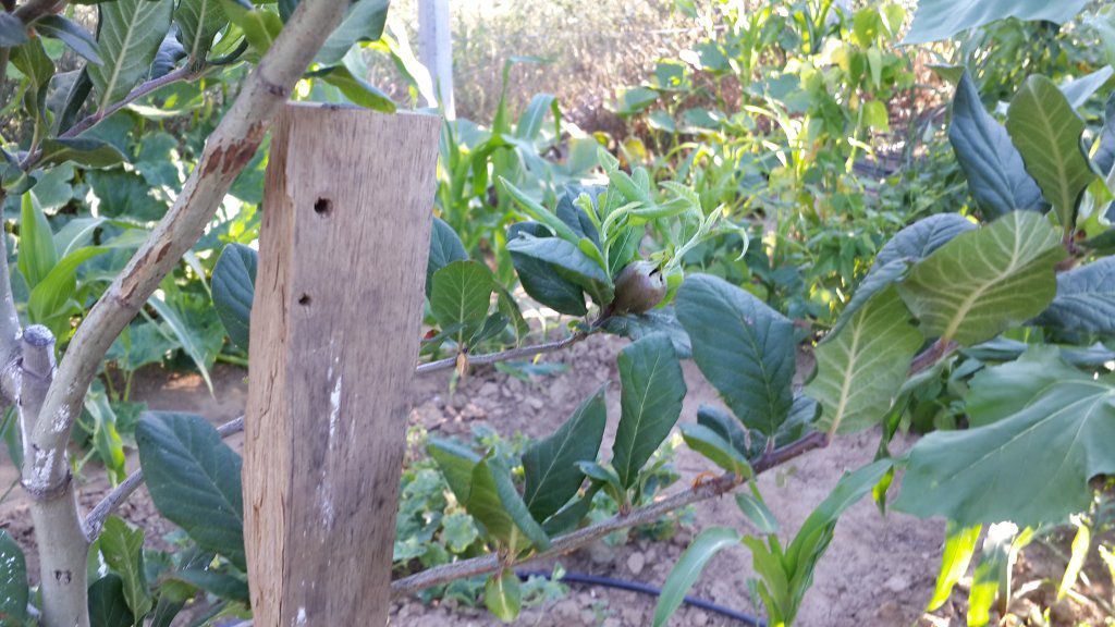 20150706_184535.jpg