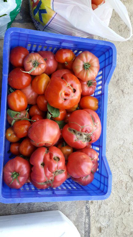 20150718_180111.jpg