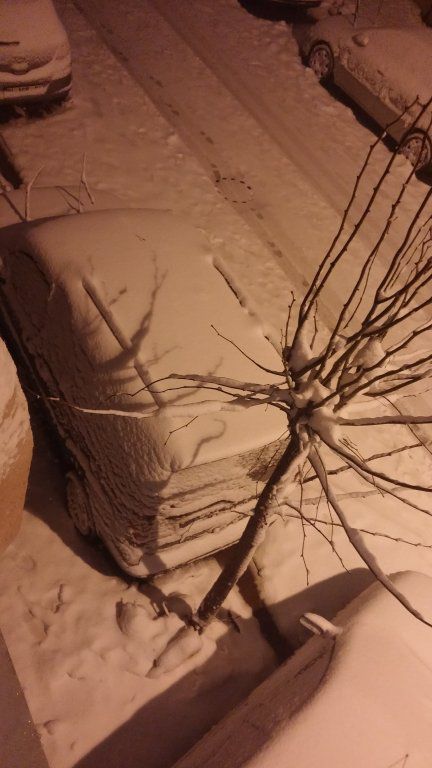 20160119_005122.jpg