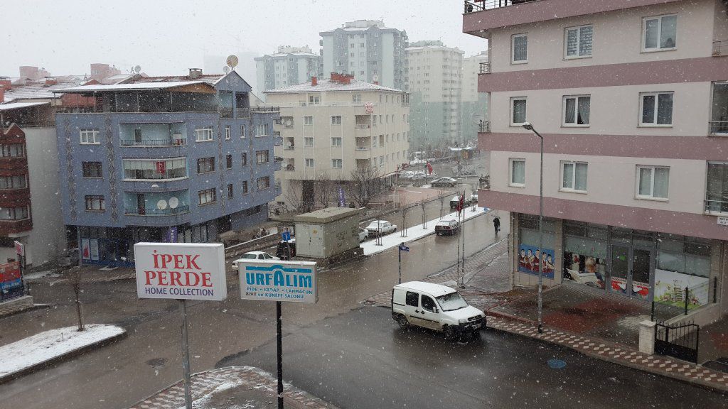 20160206_095214.jpg