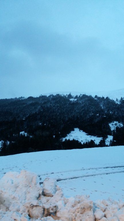 20160325_182920.jpg