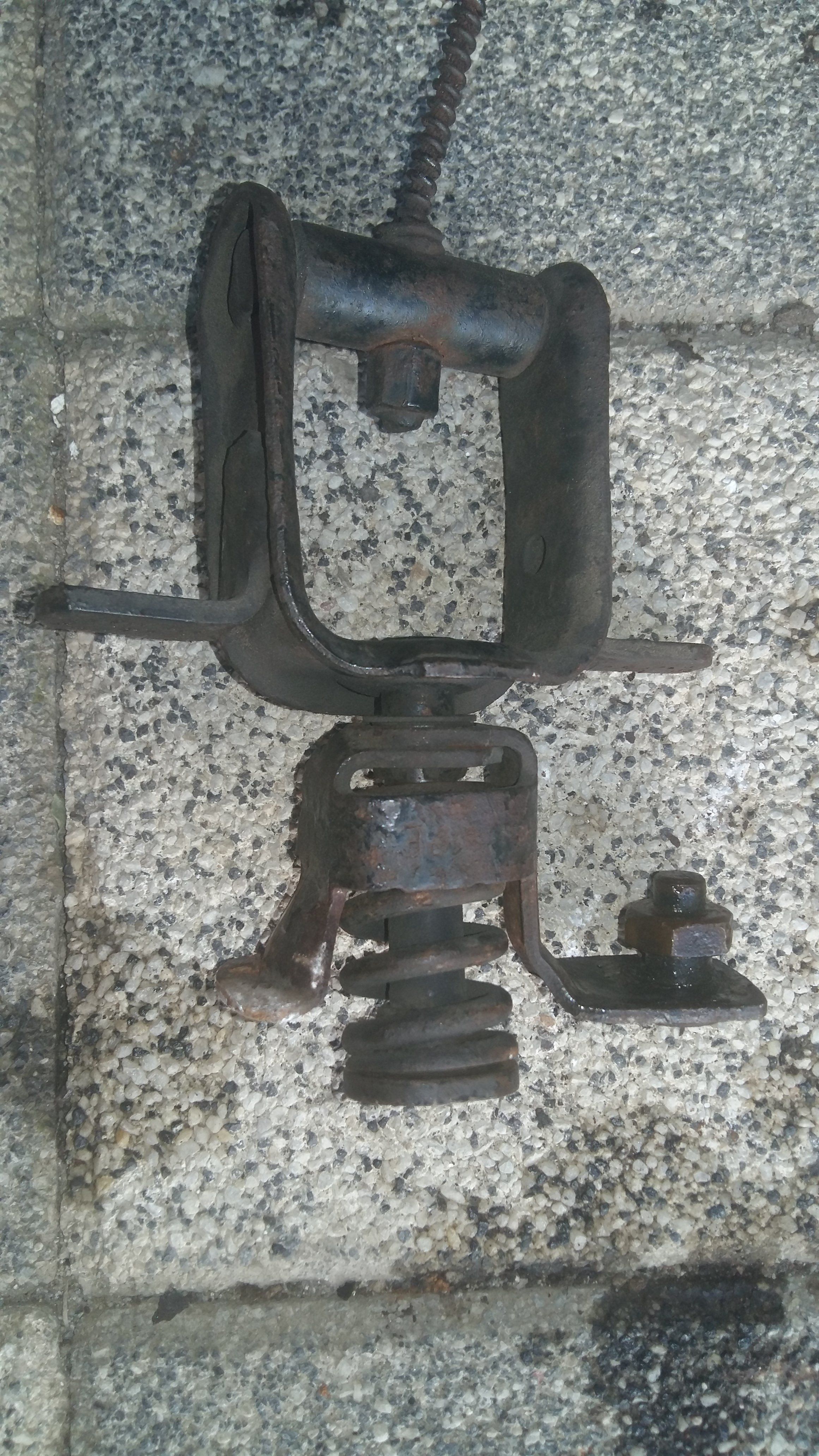 20200916_172814.jpg