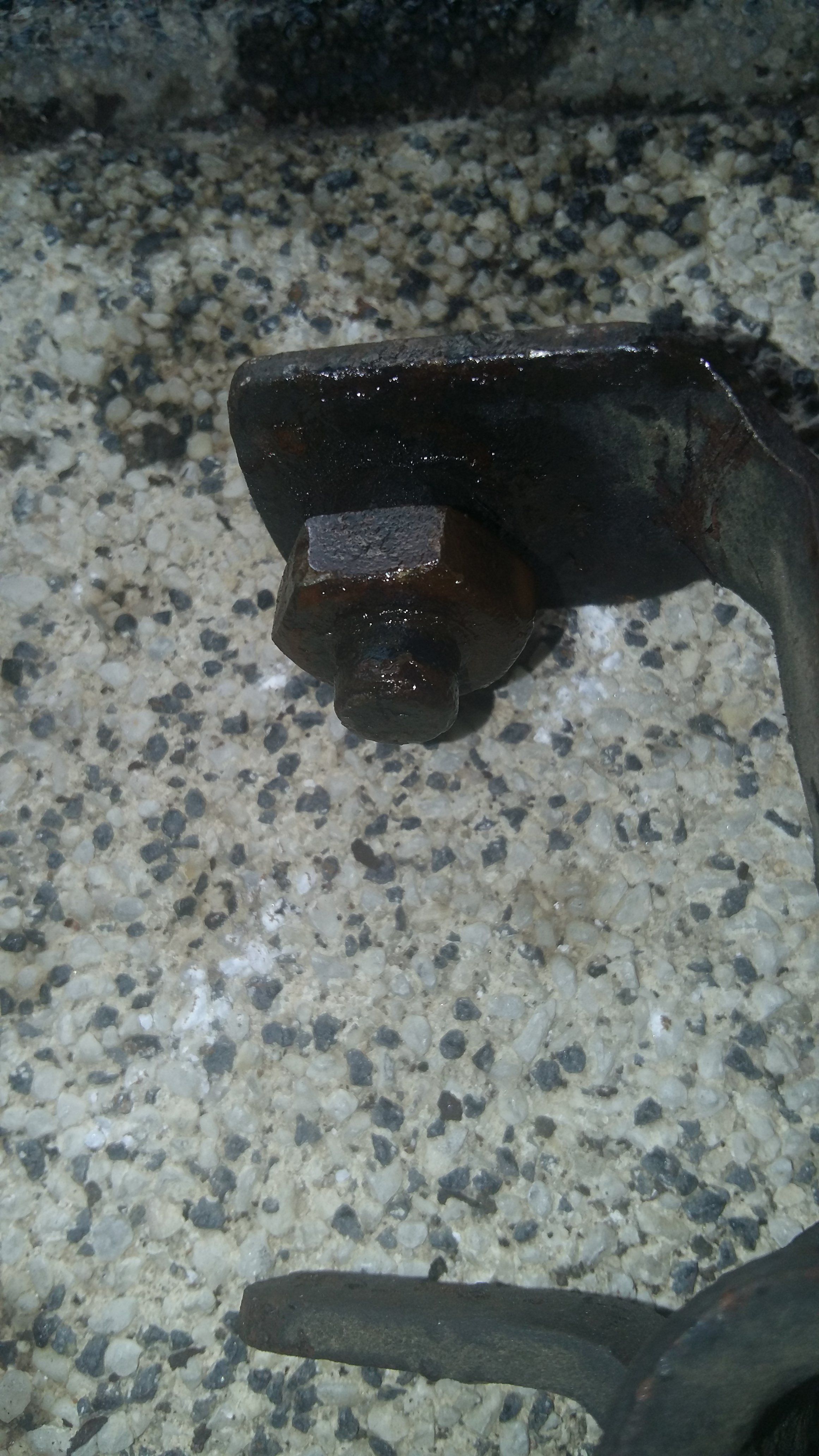 20200916_172855.jpg