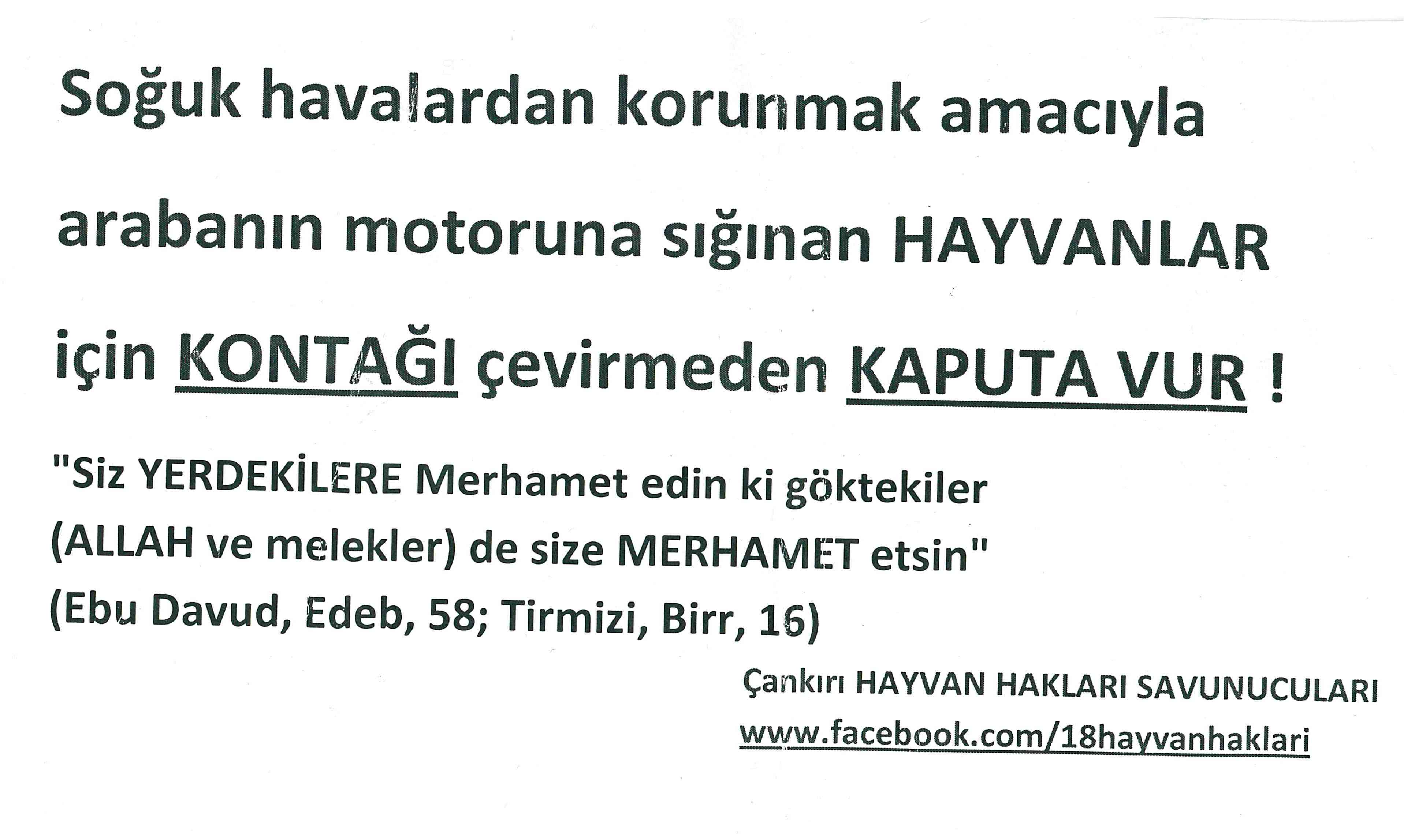 doc001506_001.jpg