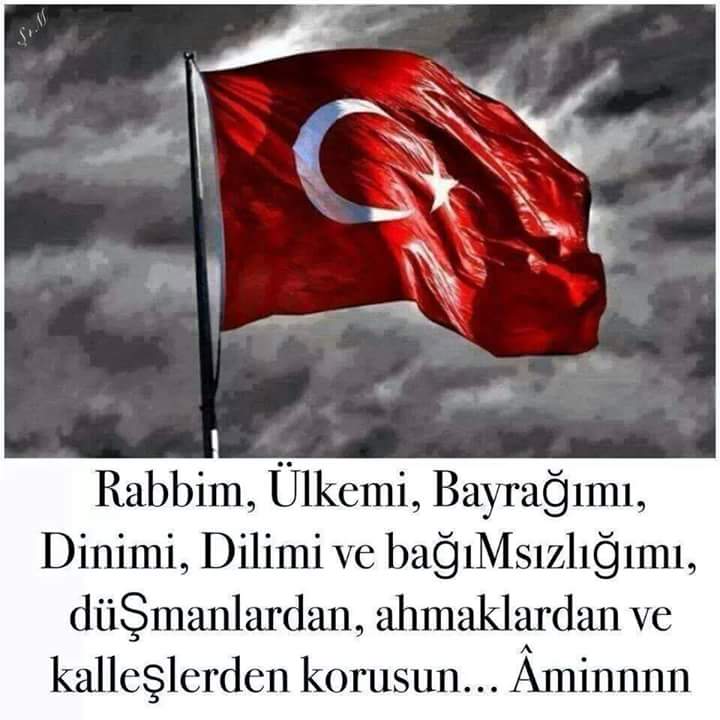 FB_IMG_1435608751803.jpg