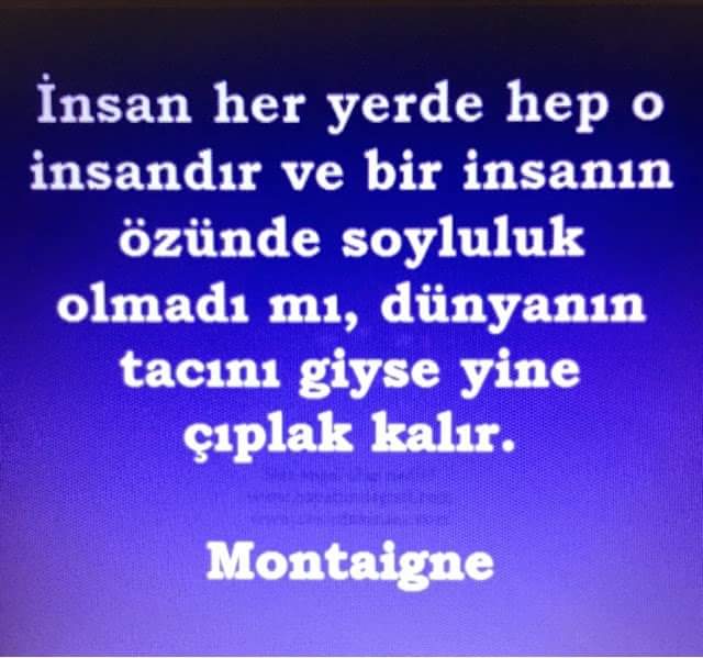 FB_IMG_1449063635561.jpg