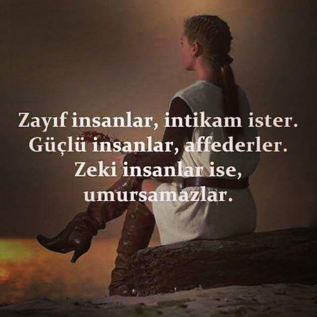 FB_IMG_1449419312468.jpg