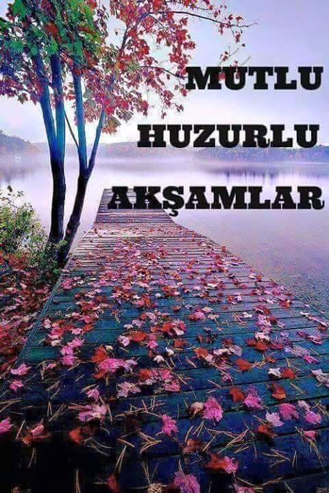 FB_IMG_1452699083682.jpg