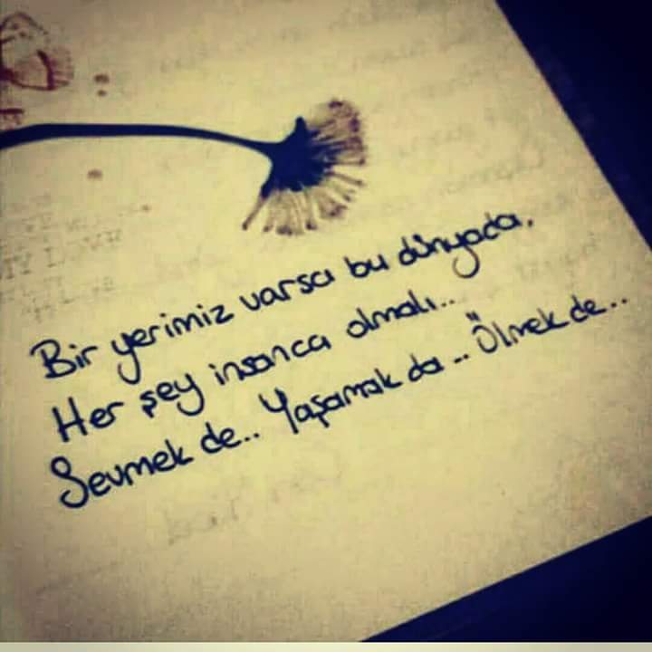 FB_IMG_1459222108022.jpg