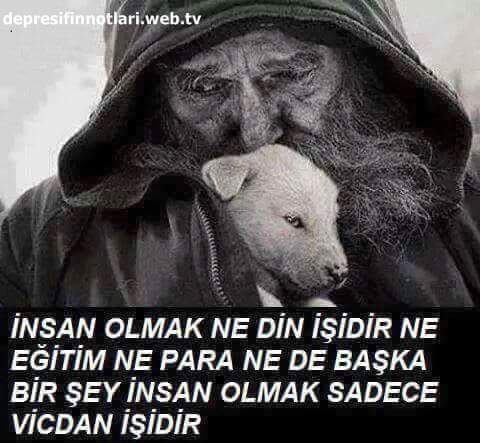 FB_IMG_1459405688389.jpg