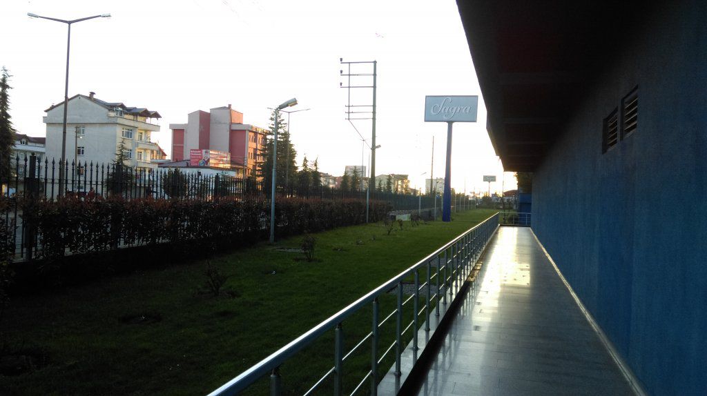 IMAG0171.jpg