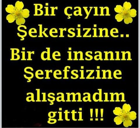 IMG_20160329_205132.jpg