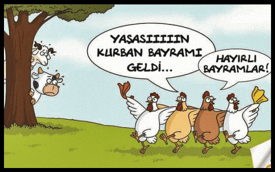 Kurban+Bayramında+Tavukların+Sevinci.png