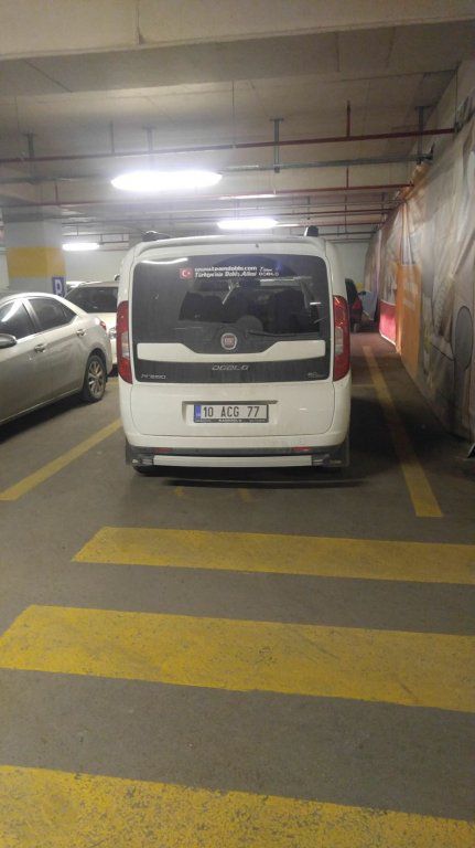 PMZF1278[1].JPG