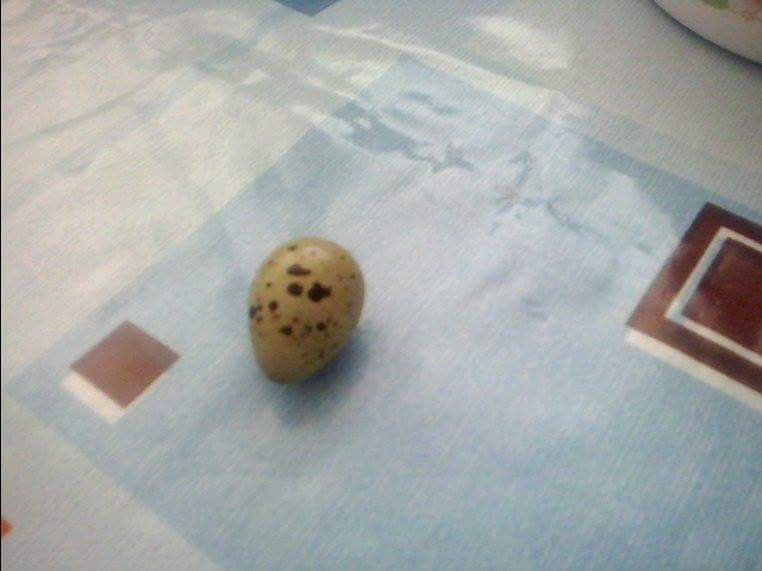 received_950417841655459.jpeg