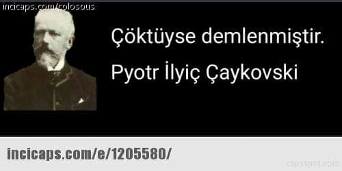 uploadfromtaptalk1448362710617.jpg