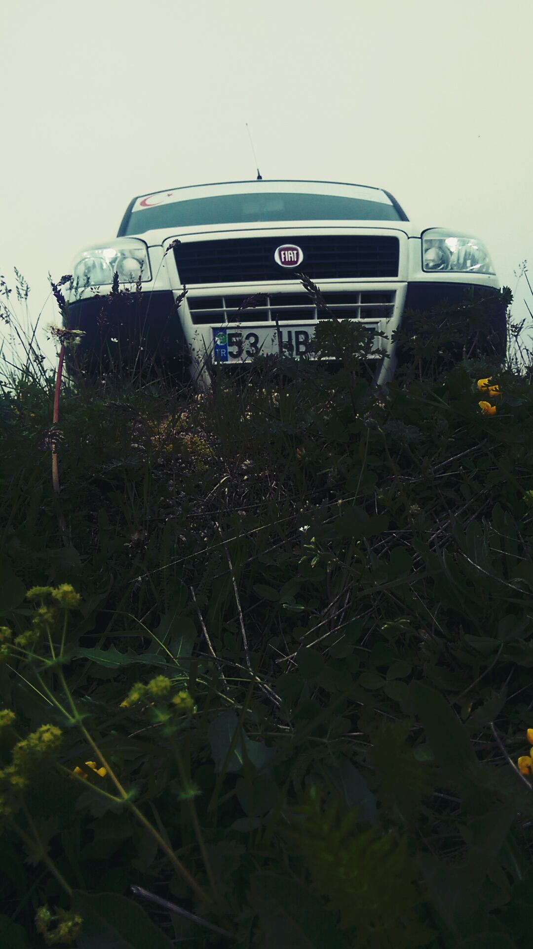 Anzer