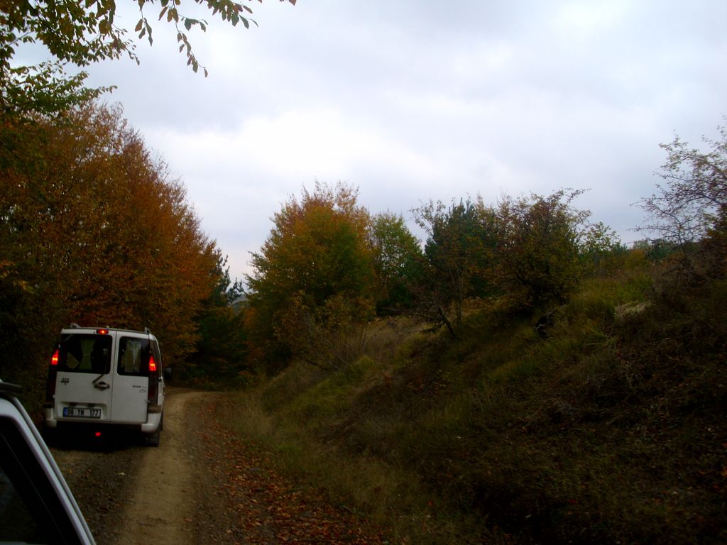 Doblo Fotoğrafları