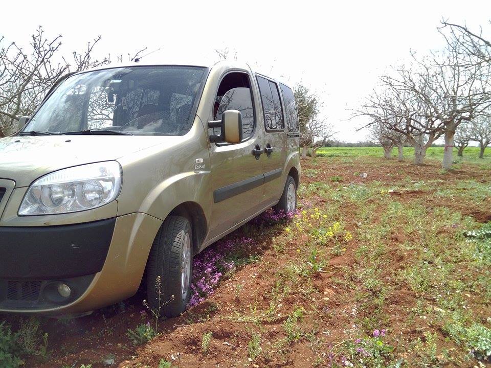 Doblo Fotoğrafları